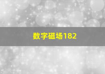 数字磁场182