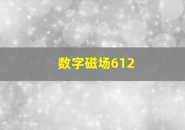 数字磁场612