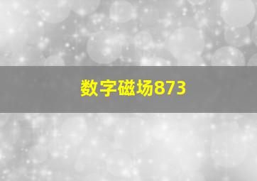 数字磁场873