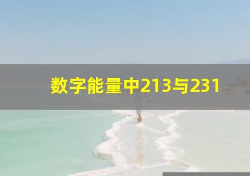 数字能量中213与231