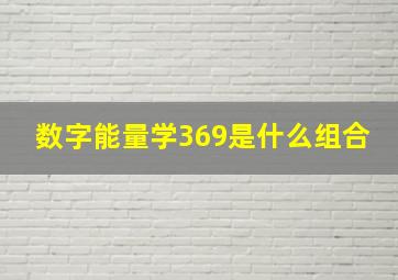 数字能量学369是什么组合