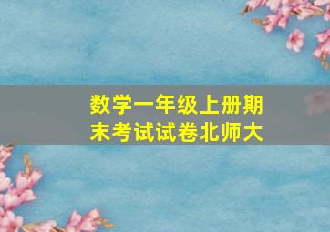 数学一年级上册期末考试试卷北师大