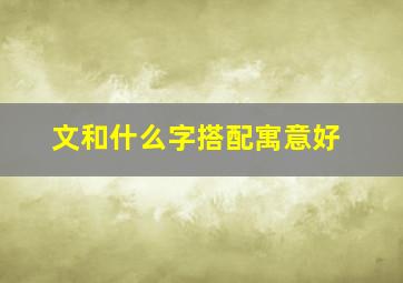 文和什么字搭配寓意好