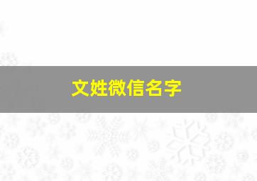 文姓微信名字