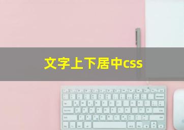 文字上下居中css