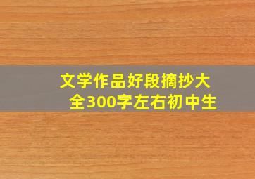 文学作品好段摘抄大全300字左右初中生