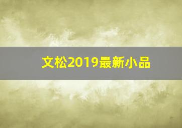 文松2019最新小品