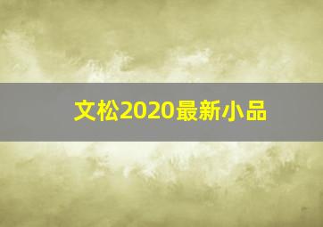 文松2020最新小品