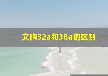 文胸32a和38a的区别