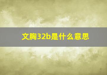 文胸32b是什么意思