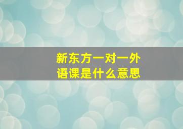 新东方一对一外语课是什么意思