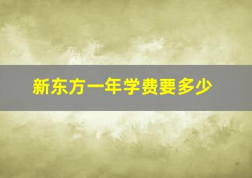 新东方一年学费要多少