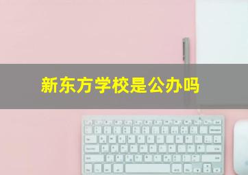 新东方学校是公办吗