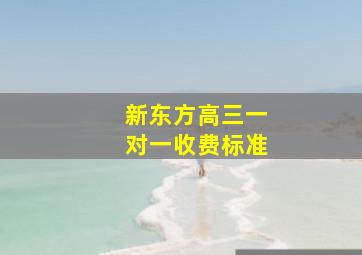 新东方高三一对一收费标准