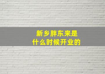 新乡胖东来是什么时候开业的