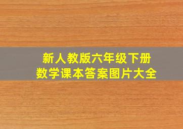 新人教版六年级下册数学课本答案图片大全