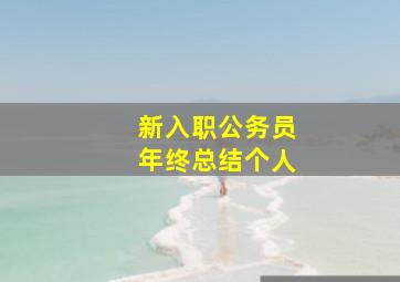 新入职公务员年终总结个人