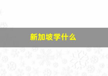 新加坡学什么