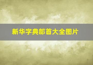 新华字典部首大全图片