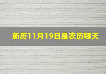 新历11月19日是农历哪天