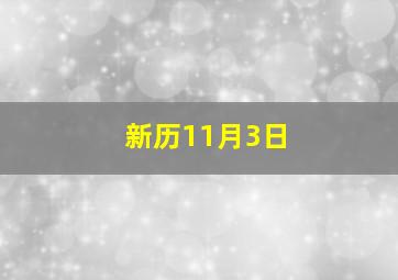 新历11月3日