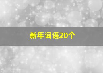 新年词语20个