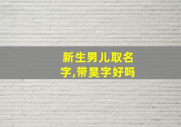 新生男儿取名字,带昊字好吗