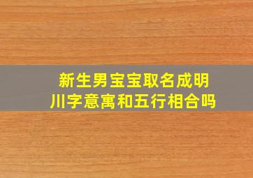 新生男宝宝取名成明川字意寓和五行相合吗