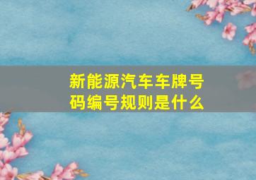 新能源汽车车牌号码编号规则是什么