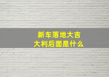 新车落地大吉大利后面是什么