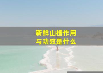 新鲜山楂作用与功效是什么