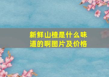 新鲜山楂是什么味道的啊图片及价格