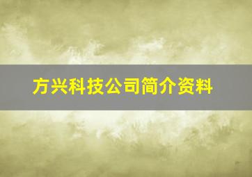 方兴科技公司简介资料