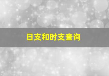 日支和时支查询