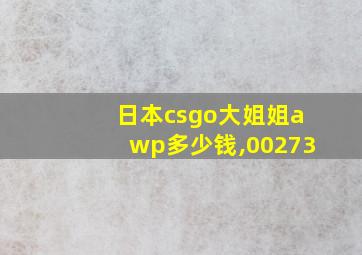 日本csgo大姐姐awp多少钱,00273