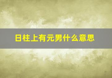 日柱上有元男什么意思