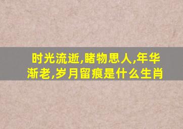 时光流逝,睹物思人,年华渐老,岁月留痕是什么生肖