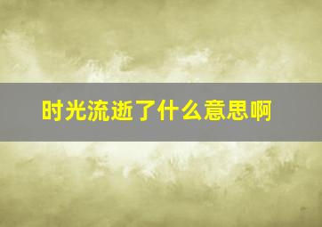 时光流逝了什么意思啊