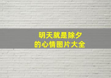 明天就是除夕的心情图片大全