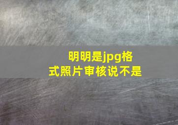 明明是jpg格式照片审核说不是