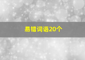 易错词语20个