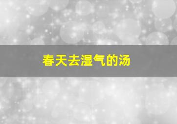 春天去湿气的汤