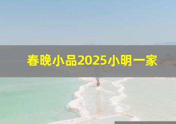 春晚小品2025小明一家