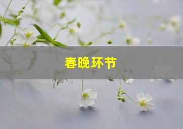 春晚环节