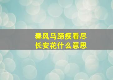 春风马蹄疾看尽长安花什么意思