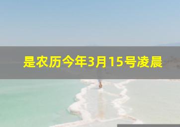 是农历今年3月15号凌晨