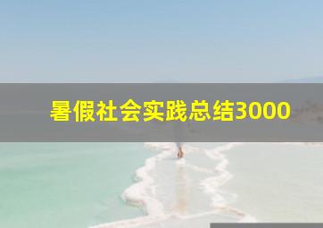 暑假社会实践总结3000