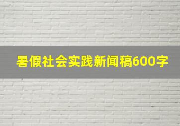 暑假社会实践新闻稿600字