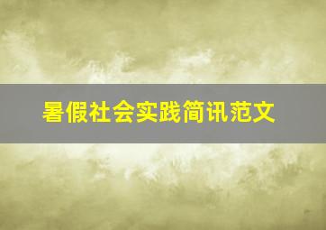 暑假社会实践简讯范文