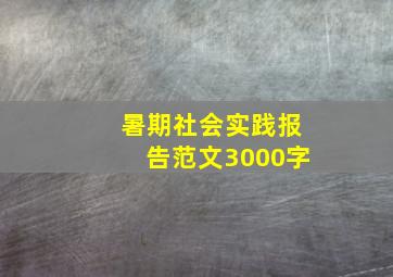 暑期社会实践报告范文3000字